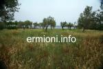 GL 0198 - Coastal Land - Dardiza - Ermioni